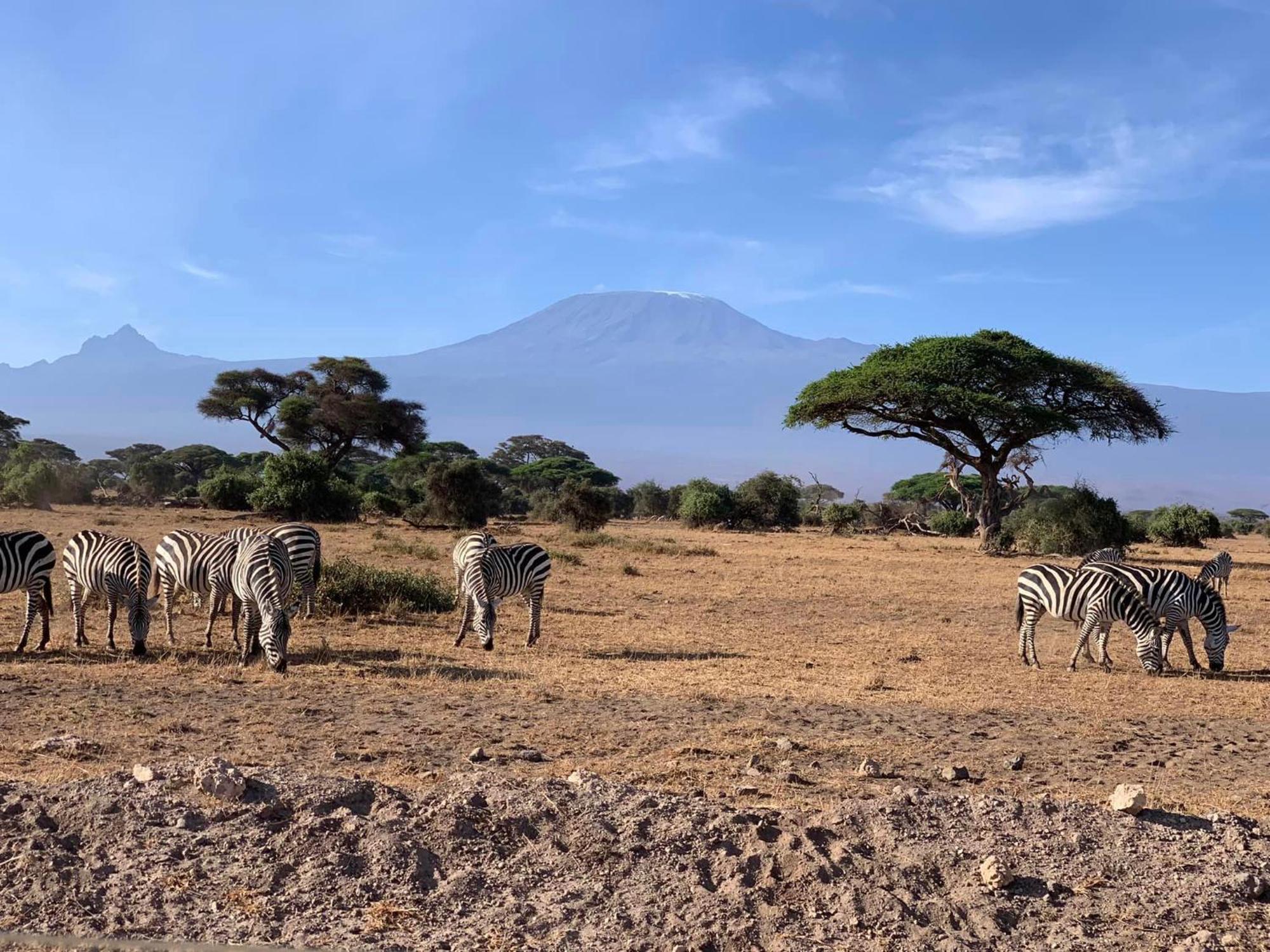 Amboseli Discovery Camp Luaran gambar