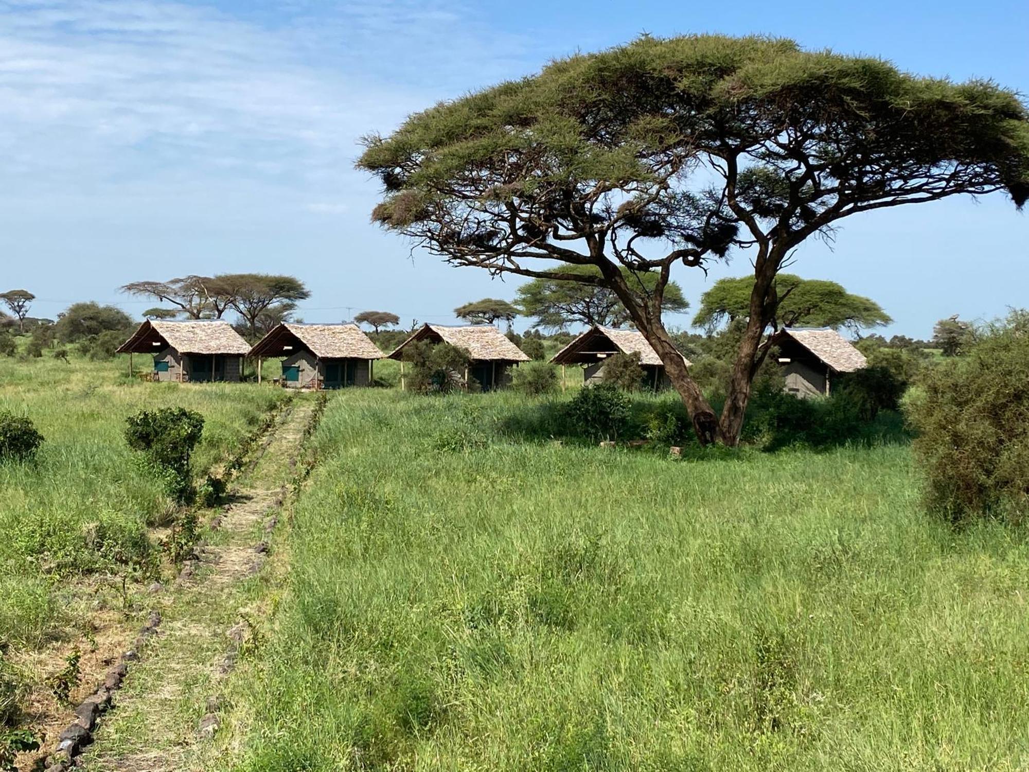 Amboseli Discovery Camp Luaran gambar