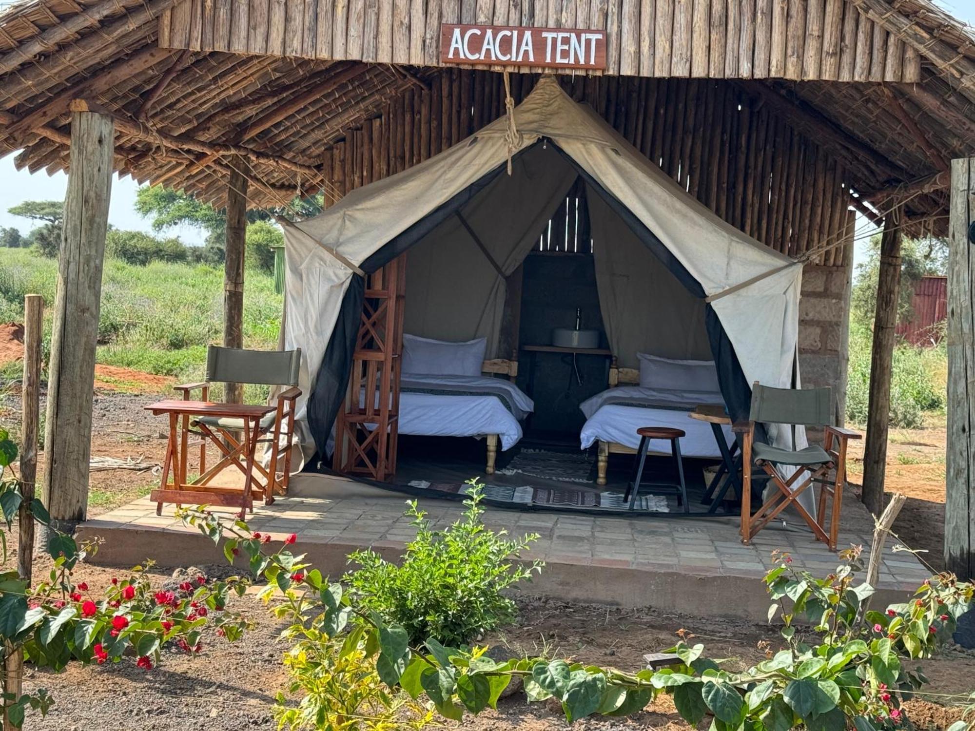 Amboseli Discovery Camp Luaran gambar