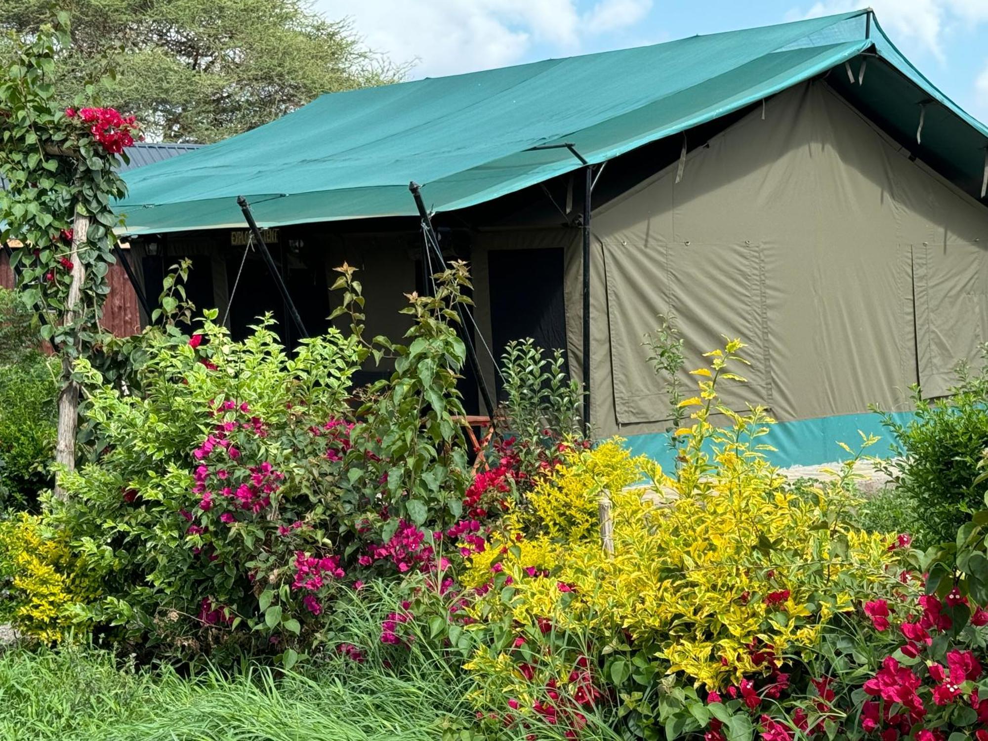 Amboseli Discovery Camp Luaran gambar
