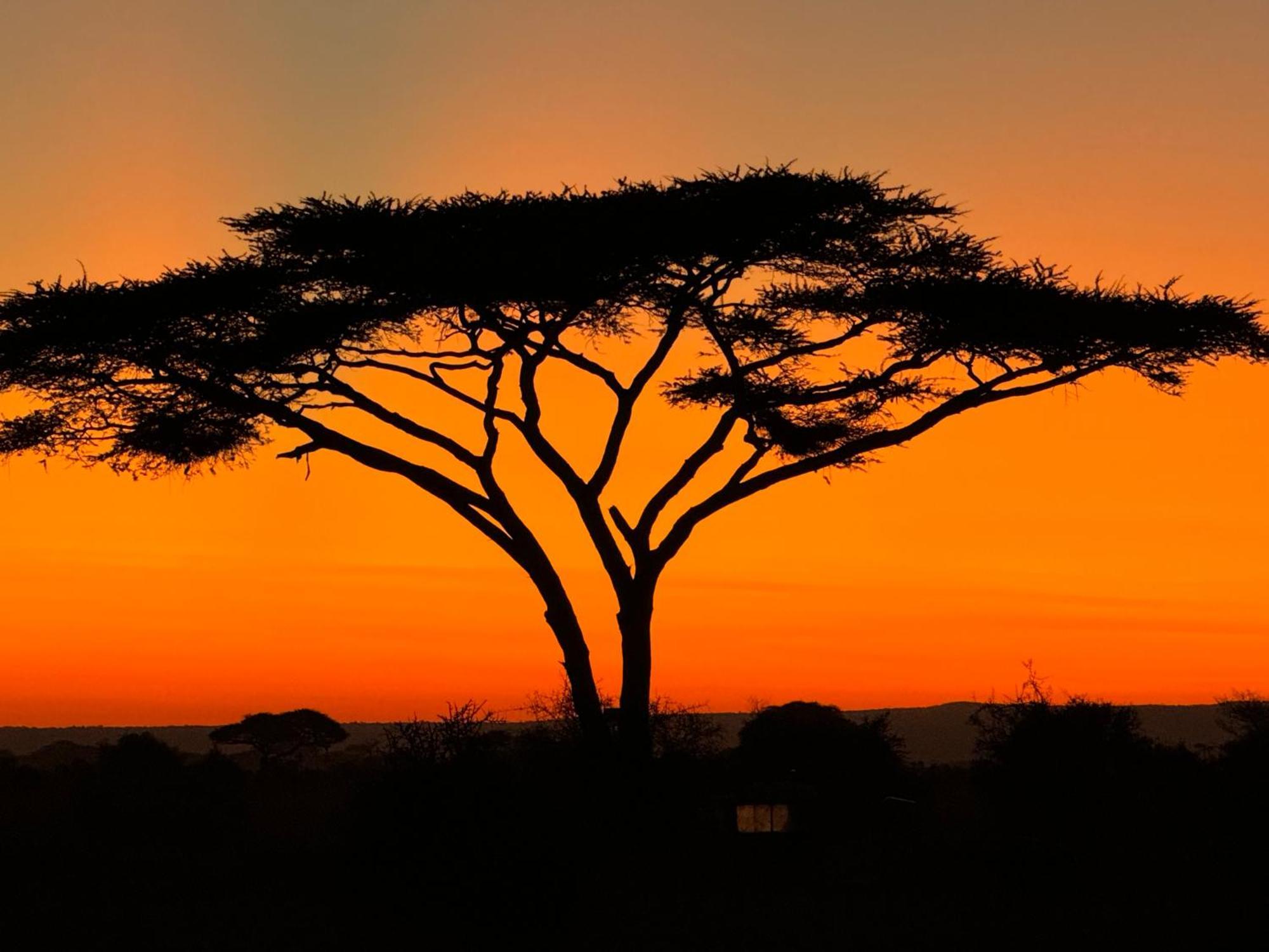 Amboseli Discovery Camp Luaran gambar