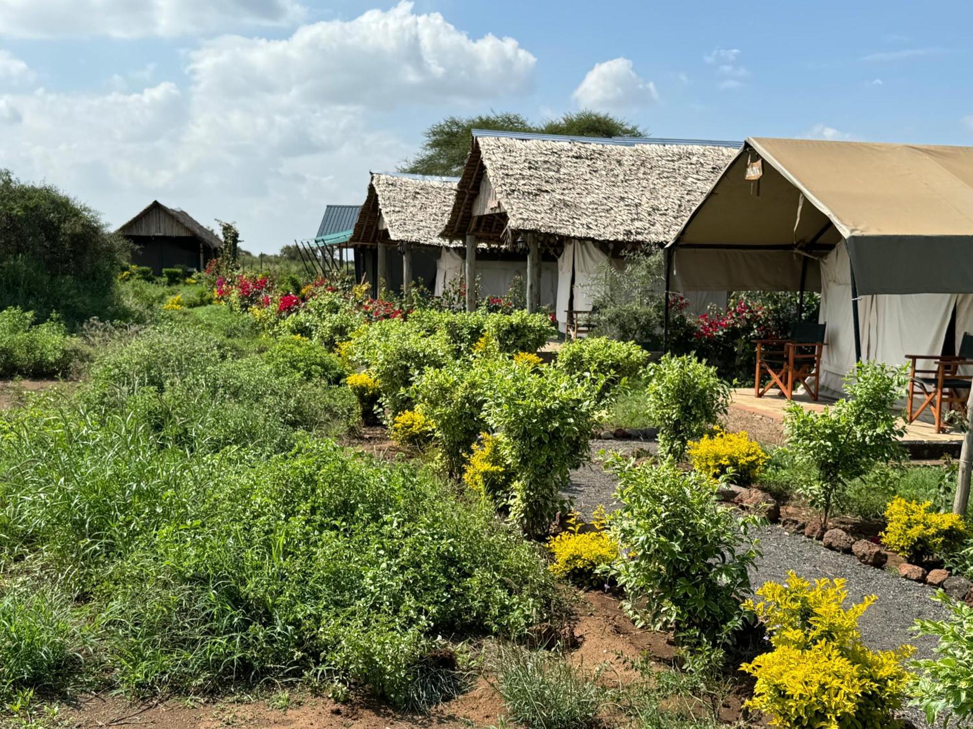 Amboseli Discovery Camp Luaran gambar